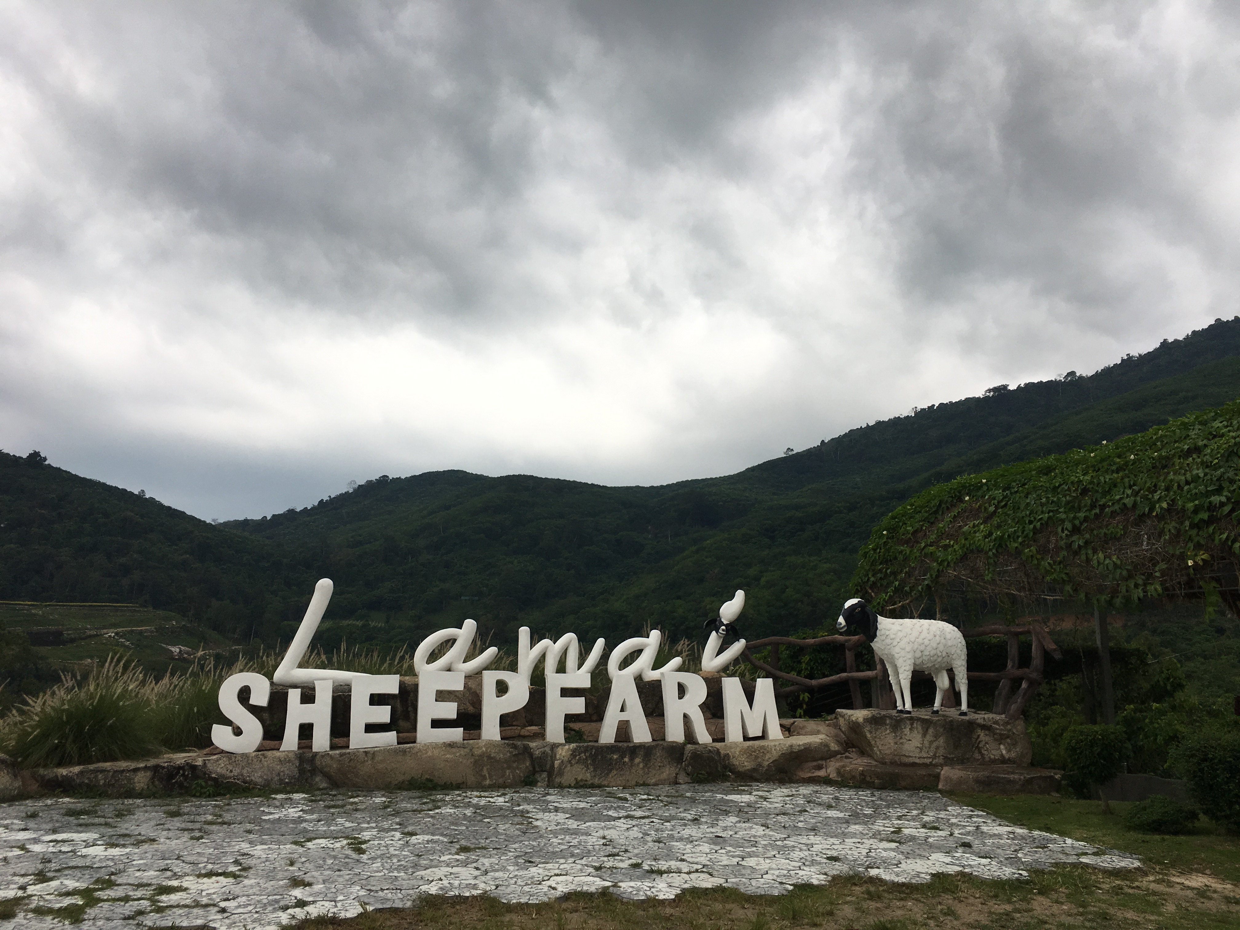Lamai Sheep Farm