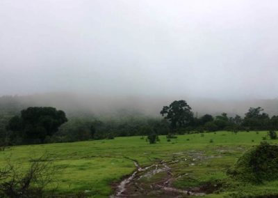 Goa in Monsoon