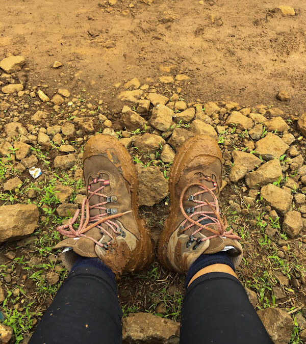 How to choose Trekking Shoes- Beginners Guide to choose the right trekking shoes