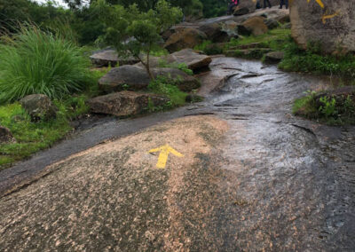 Mossy Rocks in Monsoon