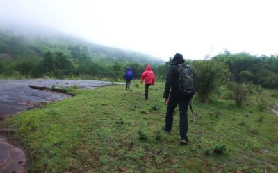 Monsoon Trek- Why you should go for it?